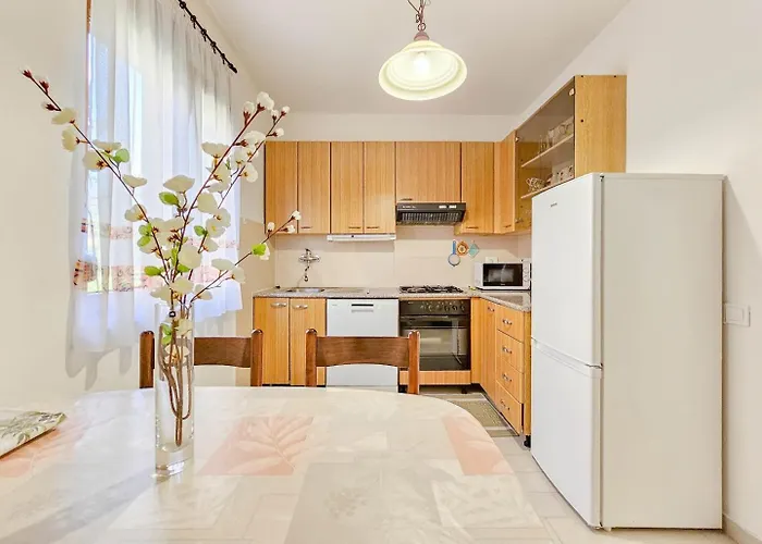 Erika 4 Novigrad Istria